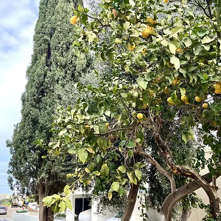 Apartament Sea House Larnaca